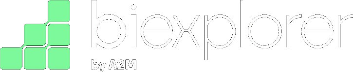 BI Explorer